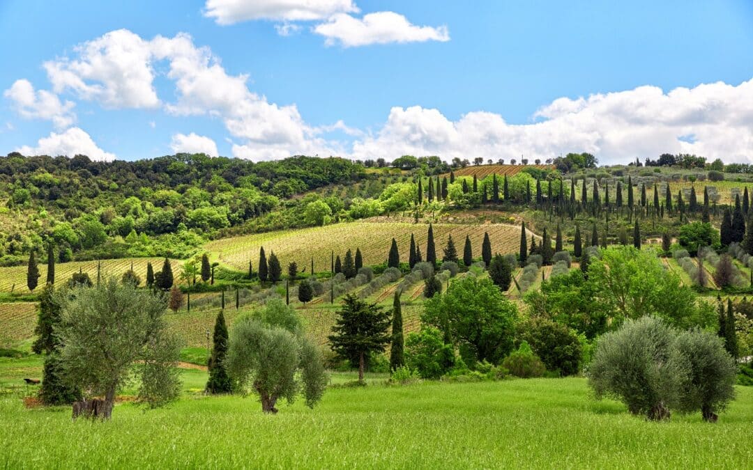 TORTOUR Travel Camp in Tuscany